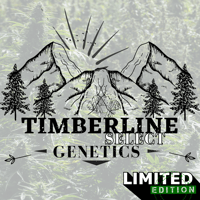 Image 2 of Timberline Select ~ OG Punch Blend
