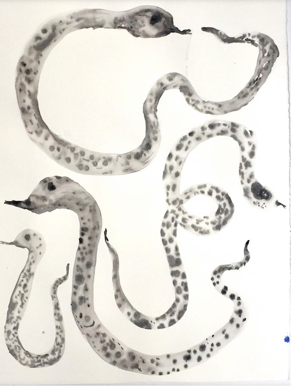 Image of Black and White Snakes on paper 22x30 inches 2020