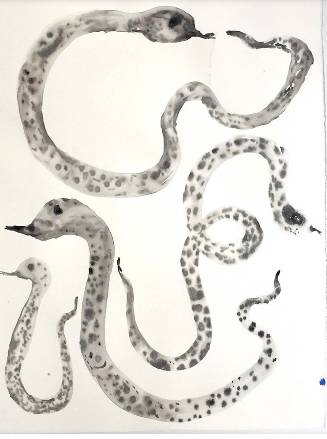 Image of Black and White Snakes on paper 22x30 inches 2020
