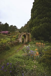 Enchanted Garden (Scotney Castle)