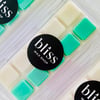 SQUEAKY CLEAN Wax melts snap bar