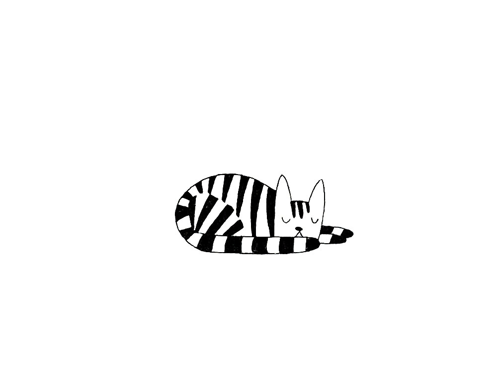 Image of TEMPORARY TATTOOS Cats
