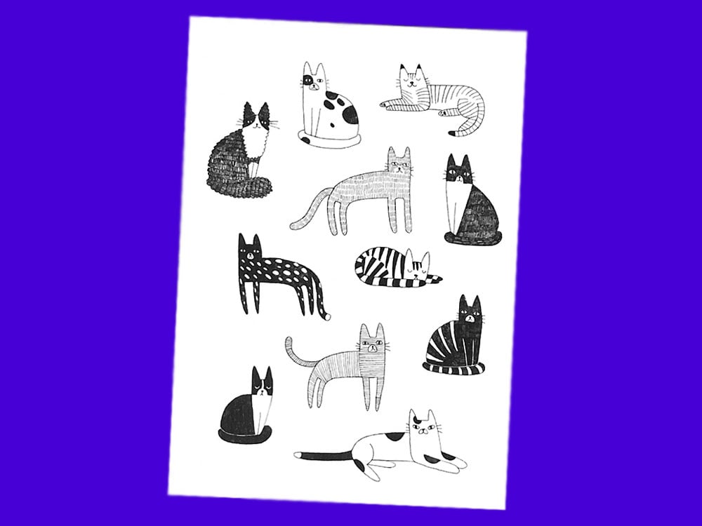 Image of TEMPORARY TATTOOS Cats