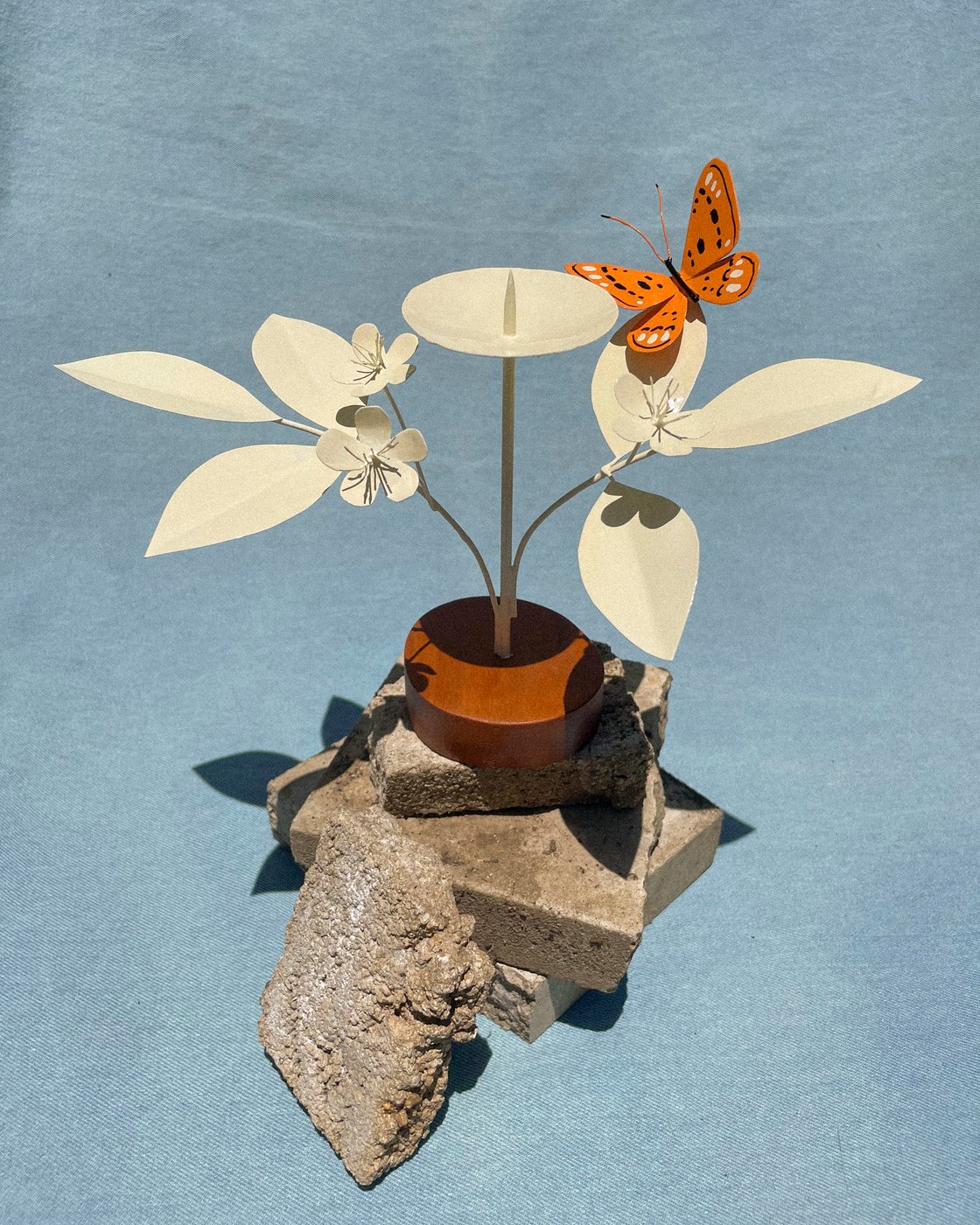 Image of Orange Butterfly 1