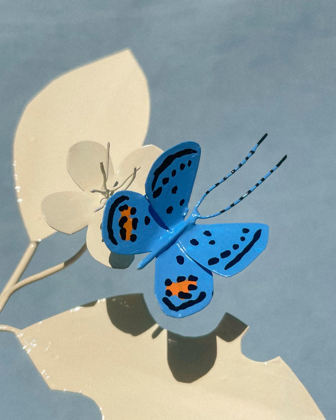 Image of Blue Butterfly 3