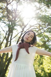 Image 10 of Knitting Pattern - Pelham Kerchief