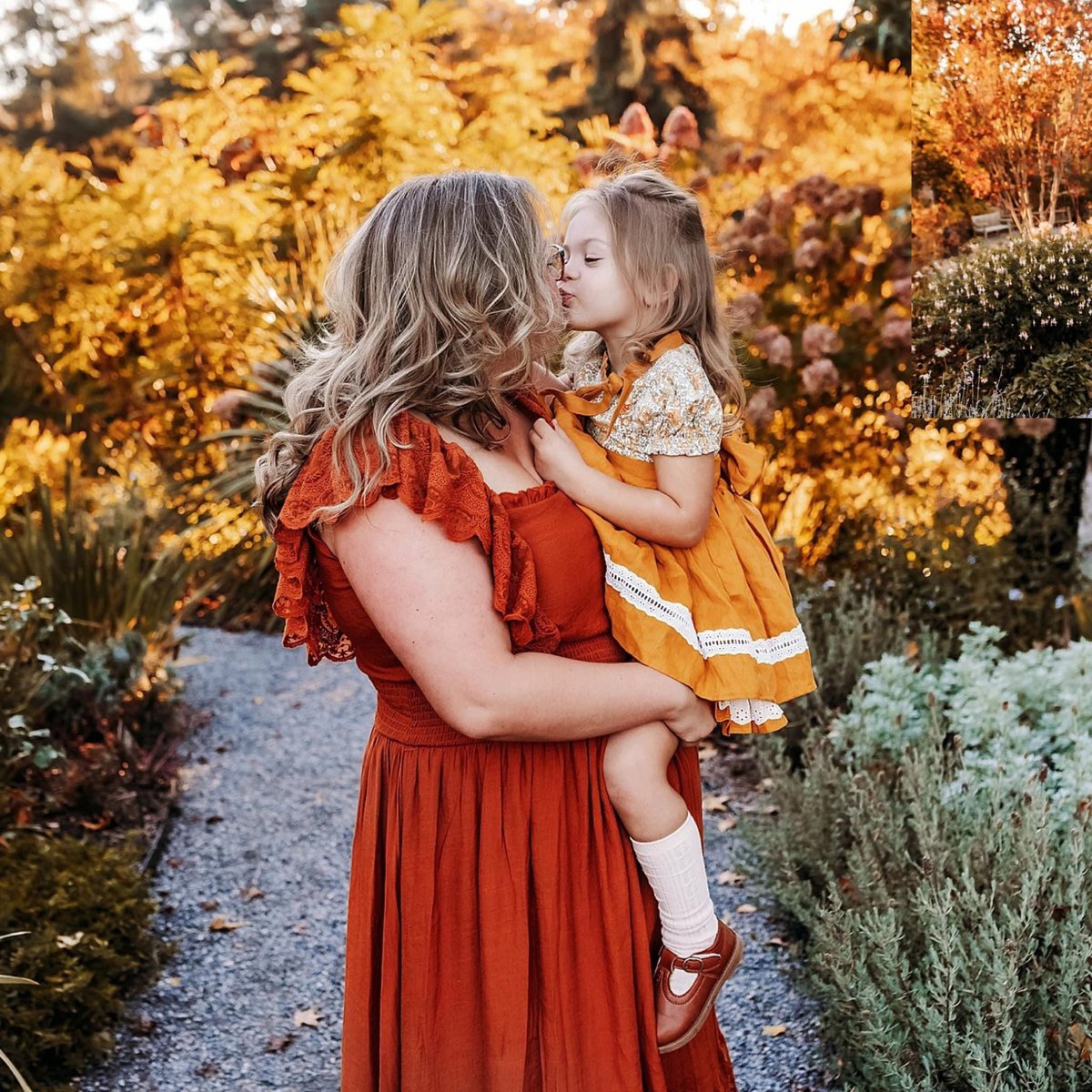 Image of Fall Mini (Bellevue Botanical $400)