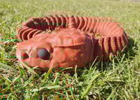 Image 2 of Large Rattle Snake 