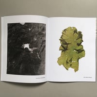 Image 3 of Gomonna by Kerry Holbrook and Ruth Klückers