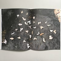 Image 4 of Gomonna by Kerry Holbrook and Ruth Klückers