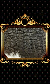 Image 3 of Raw Indian Pure Curly Hair Bundles 100G  