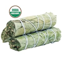 Eucalyptus Sage Smudge Stick (4 in.) Energizing & Health Boosting