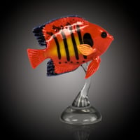 Image 2 of Flame Angelfish - by Robert Mickelsen