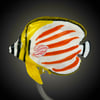 Ornate Butterflyfish - by Robert Mickelsen