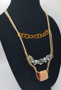 Image 2 of Tropical Hibis