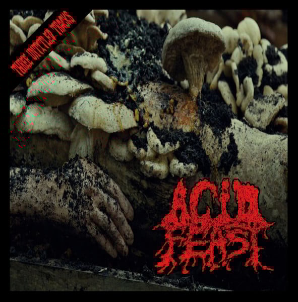 Acid Feast – Three Untitled Tracks 3" CD