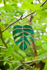 Image 3 of Monstera Leaf Sun Catcher