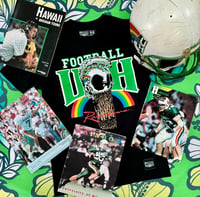 University of Hawaii Rainbow Warrior Helmet