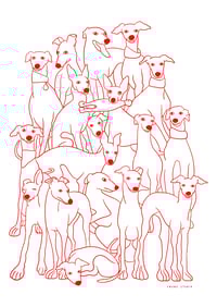 Image 2 of Shades of iggies