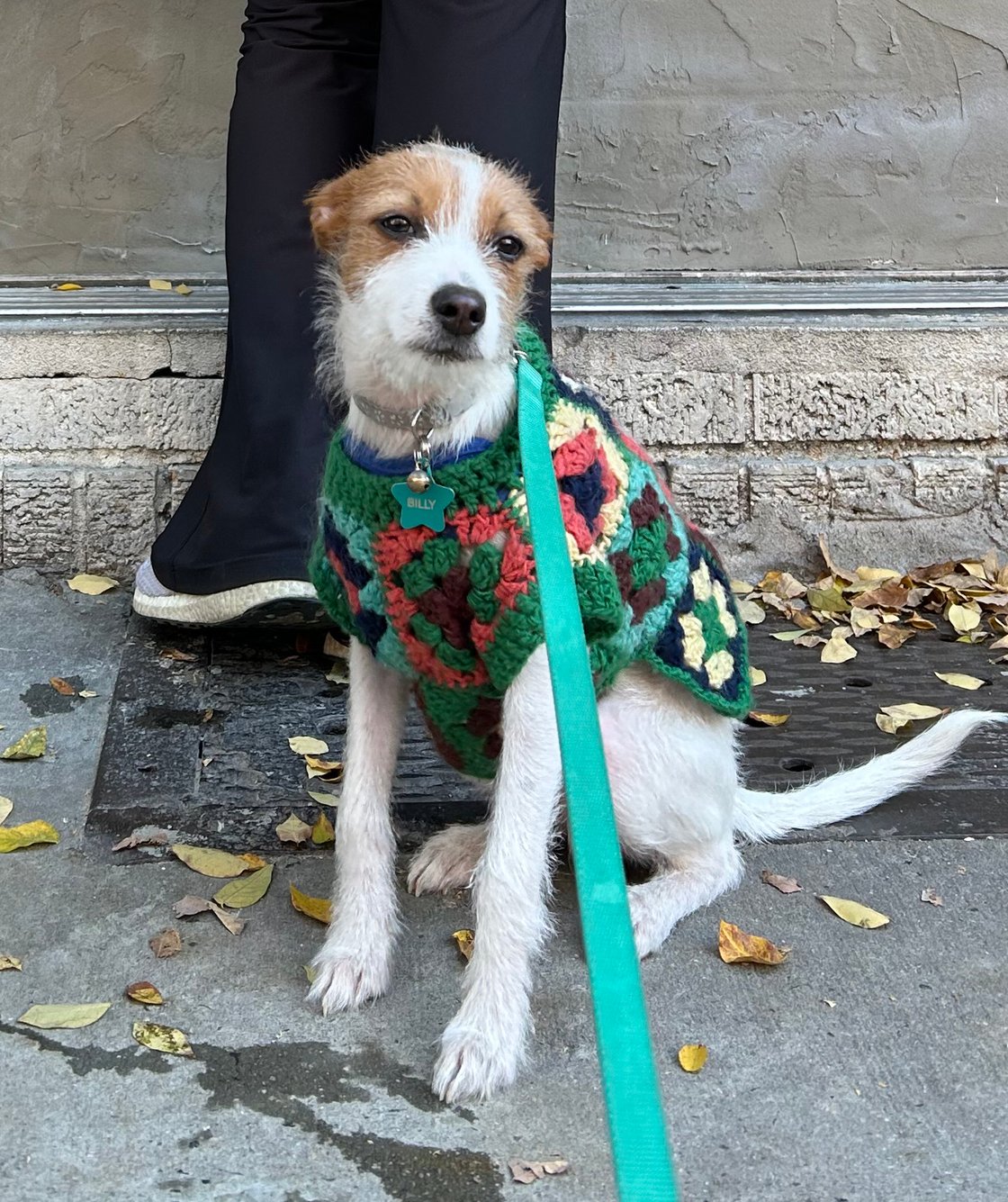 Image of Granny Square Dog Sweater