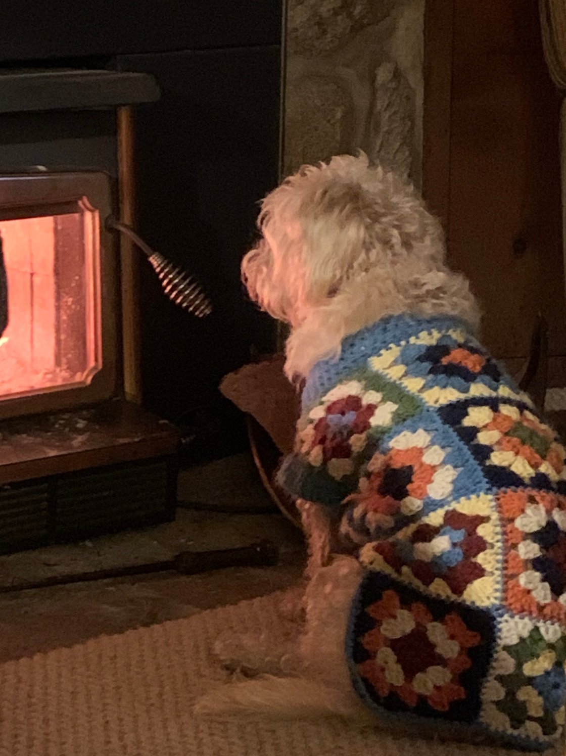 Image of Granny Square Dog Sweater