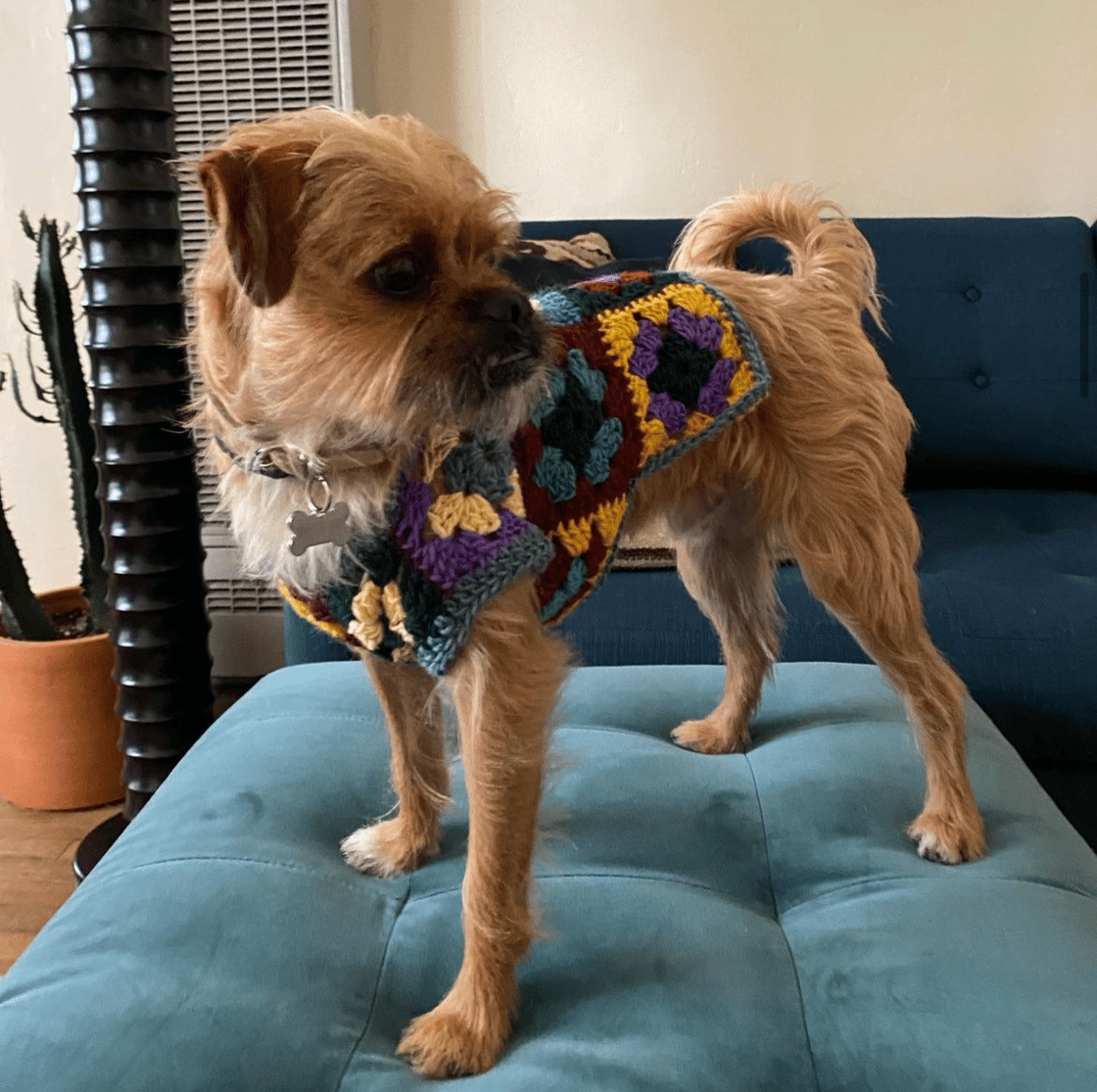 Image of Granny Square Dog Sweater