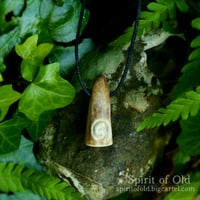 Image 4 of Spiral Antler Protection Pendants (PE1806)
