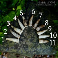 Image 5 of Spiral Antler Protection Pendants (PE1806)