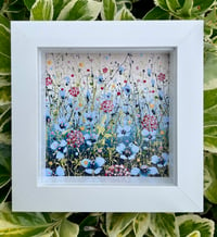 Image 3 of 'Cornish Blooms'