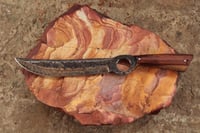 Image 3 of Carbon Steel Hunting Blade