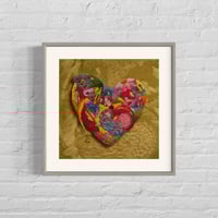 Image 1 of The Feather Collection Giclee Limited Edition Print