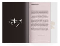 Image 3 of COMMERCIAL ARTICLE 03<br>AVRIEL SHULL