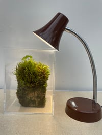 Image 1 of Small Vintage Lamp