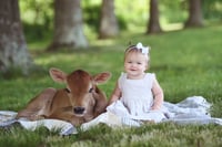 Image 1 of {Moo Mini, RETAINER FEE} Friday, June 13th