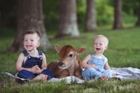Image 5 of "Moo Mini" Session Fee