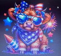 Image 1 of 4th of July