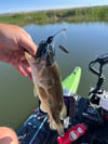 Bladed Grass Jig