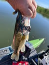 Bladed Grass Jig