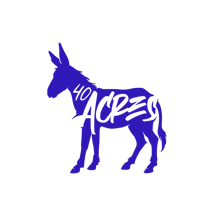 Image 2 of 40 ACRES HOODIE