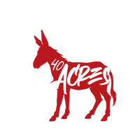 Image 3 of 40 ACRES HOODIE