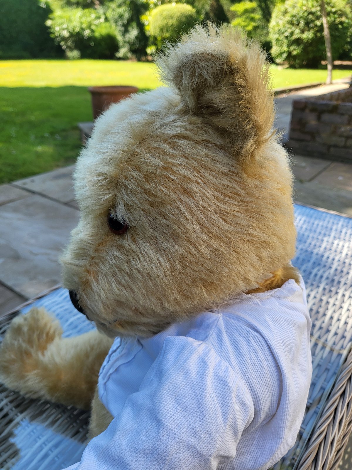 【激安、即決】TEDDYBEAR 1950年　チルターン製　クリスティーズ落札 Five English teddy bears c1930s-50s including wood wool