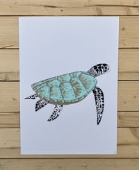 Image 1 of Green Turtle Print