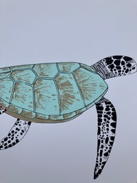 Image 2 of Green Turtle Print