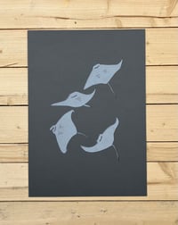Image 1 of Manta Ray Print