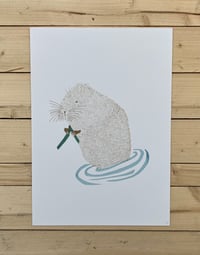 Image 1 of Water Vole Print 