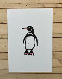 Image 1 of Galapagos Penguin Print