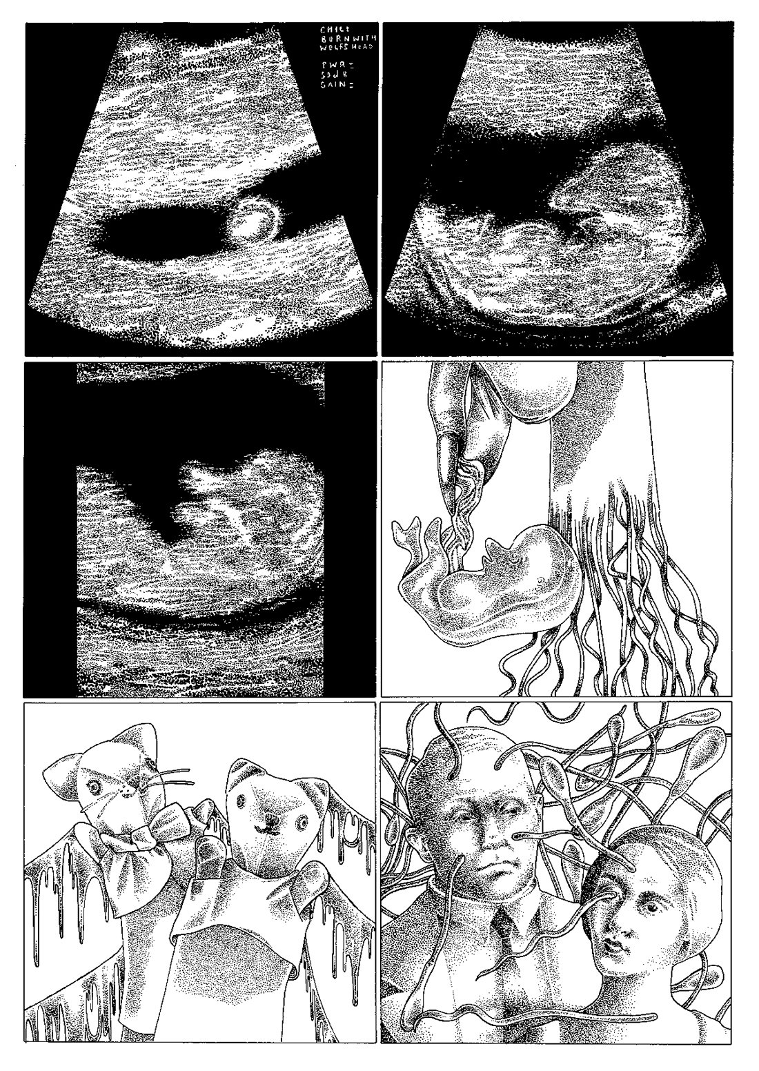 The Scrapbook of Life and Death by J. Webster Sharp