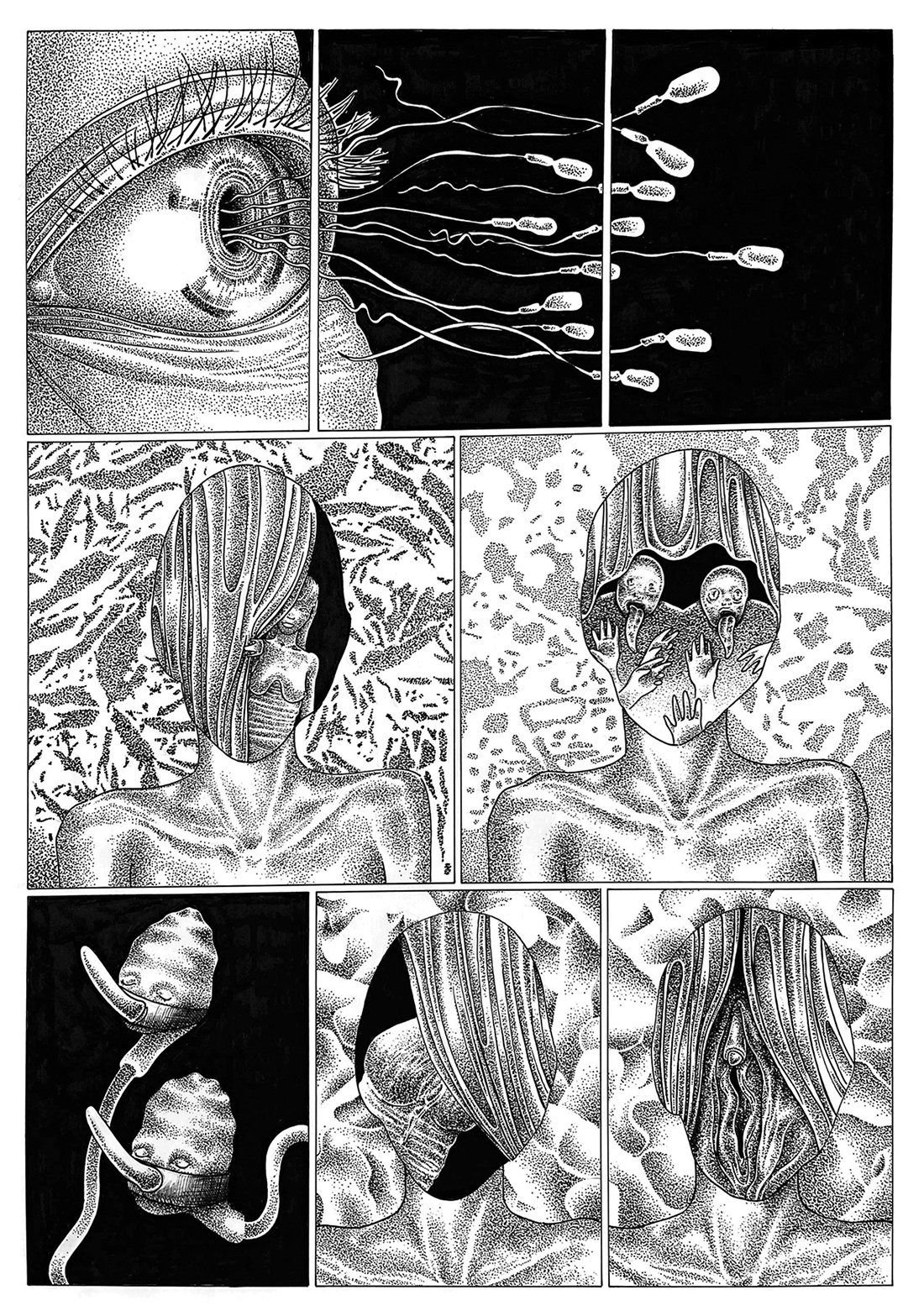 The Scrapbook of Life and Death by J. Webster Sharp