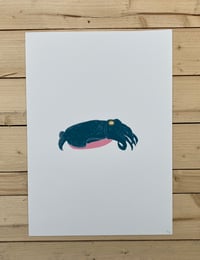 Image 1 of Cuttlefish Print