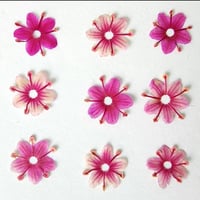Image 2 of DRY FLOWERS 